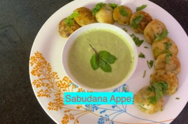Sabudana Appe with Paneer and Badam | Vrat Special Recipe | Healthy Fasting Snack| Tanu’s Food