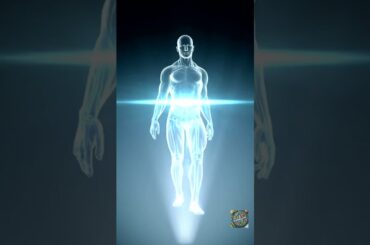 "My Secret Menu for Optimal Energy All Day" #shorts #trending #motivation #howto