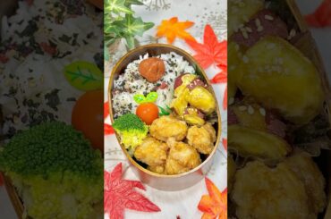 Japanese bento box #bento #bentobox #lunch #lunchbox #curry #recipe #asmr #shorts #health #food #fyp