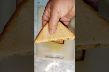 Quick Veg Mayo Sandwich Recipe | 5-Min Sandwich | Easy Breakfast Idea