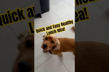 Healthy lunch couldnt be easier than beat up egg in a cup! #egg #protein #lunch #easy #healthylunch