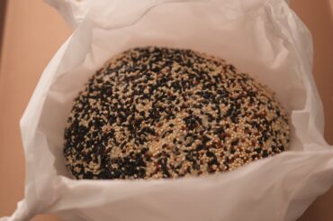 No knead, No egg, No sugar, No oil healthy bread! Easy and Delicious! #food #recipe