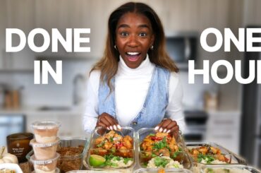 How I MEAL PREP 20 Healthy Meals in 1 Hour (For ONLY $65!)