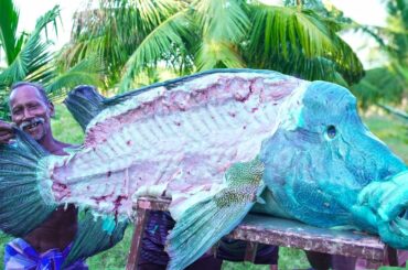 WORLD RARE FISH BONE SOUP RECIPE | MONSTER PARROT FISH HEALTHY SOUP | VILLAGE GRANDPA