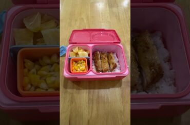 Easy School Lunch Box Ideas For Busy Parents (suitable for kids and adults) - Day 2