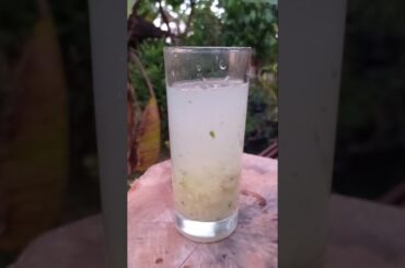 Amla Juice for Hair Growth, Weight Loss and Immunity #veggiemaster #shorts #viralvideo