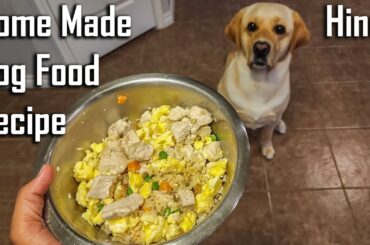 Vet Approved Balanced Homemade Dog Food Recipe | BalanceIT Recipe | Ghar Pe Banaye Dog Food