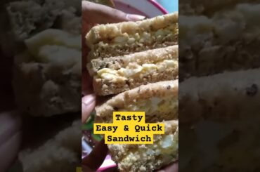 Egg Sandwich Like a Pro in 5 Minutes! #shorts #easysandwich #easyhealthyrecipes #organic