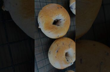 Blueberry Bagels! Easy Homemade Recipe - Healthy And Delicious #bagel #homemadebagels #homemadebread