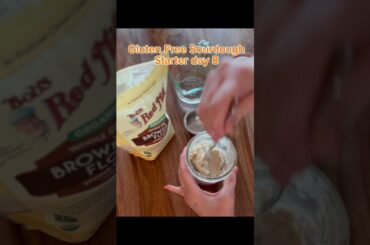 Gluten Free Sourdough Starter #food #glutenfree #baking #sourdoughstarter