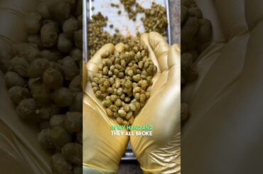 We Made Freeze Dried Edamame Snacks.. Were They Good?