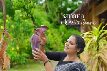 Banana Flower Recipe: Kerala Style Curry & Spicy Fries | Healthy & Flavorful | Village Style Cooking