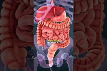 Blueberry Lemon Smoothie for Weight Loss and Antioxidants  #youtubeshorts #smoothie #weightloss