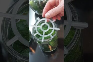 Kornishoni vo tegla / Gherkins in a jar #healthy #peachfruit#recipe #healthyfood#food#healthyrecipe