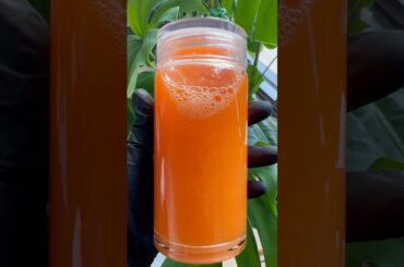 Easy 2-Ingredient Healthy Juice Recipe for Beginners #Nutrition #Health #Juicing