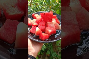 Watermelon Salad: The Dish That Will END SUMMER