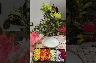 Healthy Salad /kya aisi salad khai he aapne?