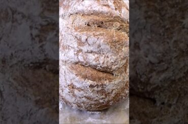 The BEST Gluten-Free Bread Recipe You Will Try (Vegan, No Eggs, No Yeast!)