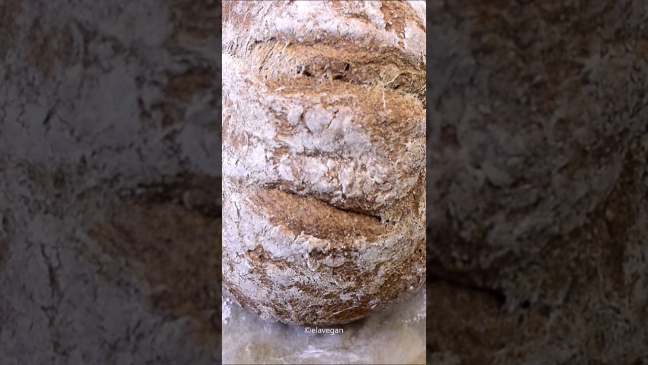 The BEST Gluten-Free Bread Recipe You Will Try (Vegan, No Eggs, No Yeast!) The BEST Gluten-Free Bread Recipe You Will Try (Vegan, No Eggs, No Yeast!)