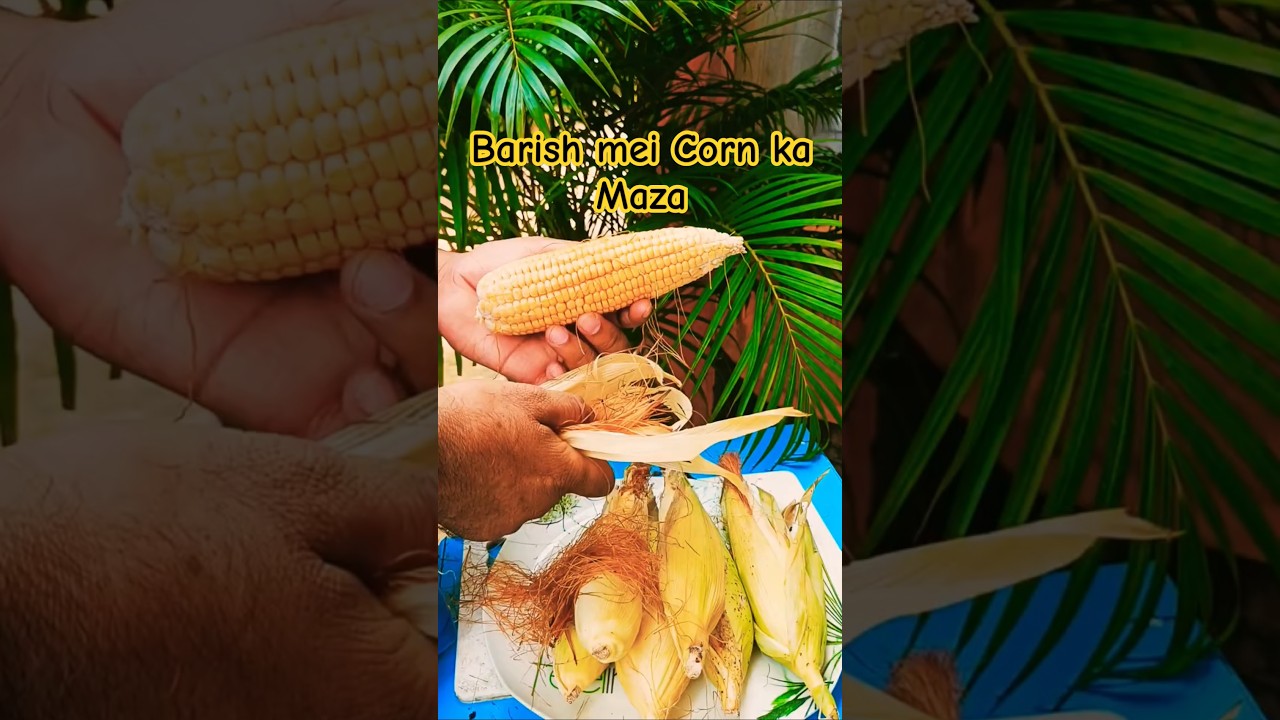 SweetCorn Chat | Masala Chhalli |Healthy Corn Recipe | #shorts #journeywithbraj #sweetcorn #salad SweetCorn Chat | Masala Chhalli |Healthy Corn Recipe | #shorts #journeywithbraj #sweetcorn #salad