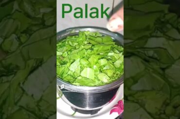 Palak ka paratha // paratha recipe #cooking #dailynewrecipe #breakfastrecipe #healthybreakfast