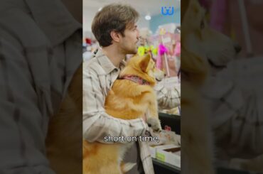 Healthy Treats For Dogs Low Calorie Recipes| Waggle