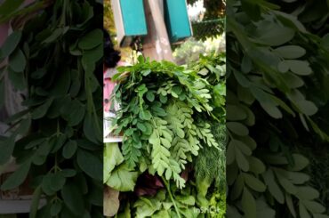 Very simple yet healthy moringa leafy vegetable recipe #shorts