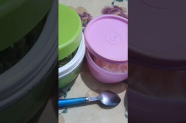 Lunch box series #lunch #food #youtubeshorts #work #virworldshorts #biryani #recipe #health