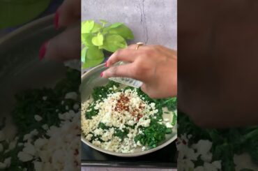 Palak Paneer Sandwich | Flavours Of Food