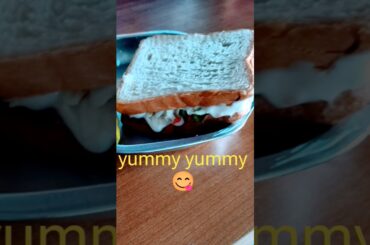 Veg Sandwich recipe/Veg Mayo Sandwich/Simple Veg Sandwich Recipe/Mayonnaise sandwich recipe/#food#yt