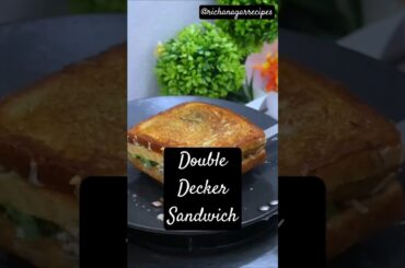 Healthy Double Layer Sandwich Recipe #sandwich #toast #healthyeating #richanagar #vegsandwichrecipe