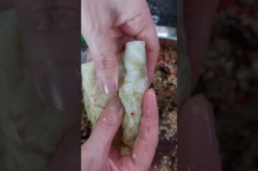 Protein Cabbage Rolls #shorts #cabbage #food #rolls #vegetables #dinner #yum #protein #healthy