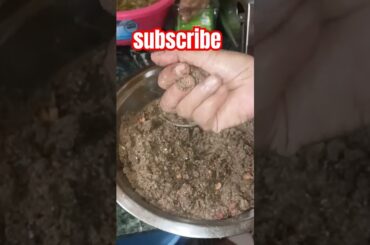 The Best Ragi Laddu Recipe (Gluten-Free, Healthy Sweet)