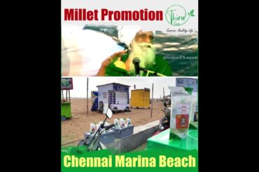 Thiru Foods Millet Promotion in Chennai Marina Beach | Healthy Instant Millet breakfast recipes