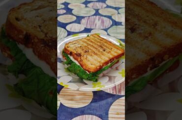 Healthy Tofu Sandwich Recipe | Quick & Delicious