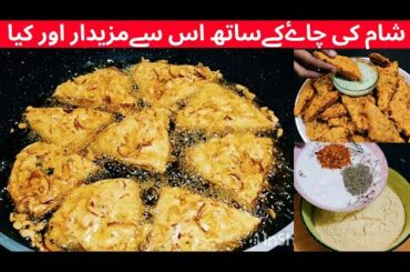 Fry Bread Sandwich Recipe | Bread Breakfast Recipe | Potato Bread Patties | Quick And Easy Sandwich