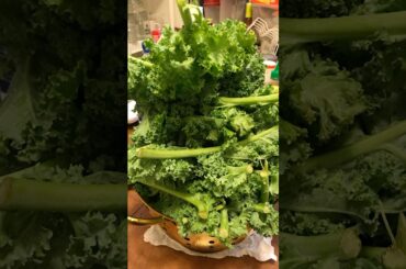 Healthy Eatz! #healthylifestyle #healthyliving #healthyfoods #bmoeatz #healthy #easysalad