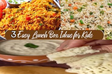 3 Easy Lunch Recipes | Variety Rice Recipes | Kids Lunch Box Recipes | Instant Lunch Box Recipes