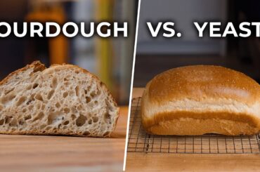 Sourdough vs. “Normal” Bread. What’s the Difference?