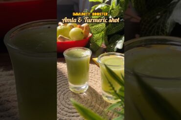 Amla & White Turmeric shot #ytshort #trending #winter #immunity #healthy #shots #recipe #vlogger