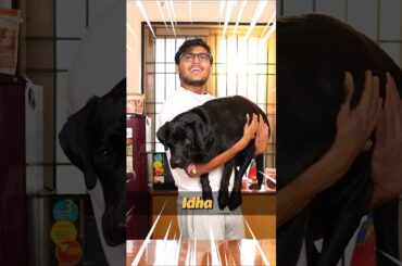 Here’s a recipe your pets will love! It’s super healthy and definitely going to be a favourite meal!