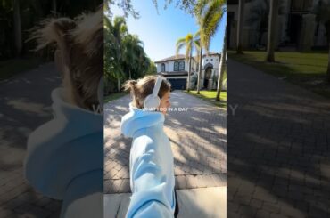 Vlog as a health and fitness enthusiast #fitlifegoals #fitnesscommunity #healthylifestyle