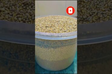 Best for Weight Loss, Homemade Multigrain Atta & It's too Healthy#shorts@Saminakitchen395