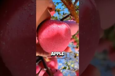 Raw Food Vs Cooked Which One Is Your Favourite | Healthy Foods