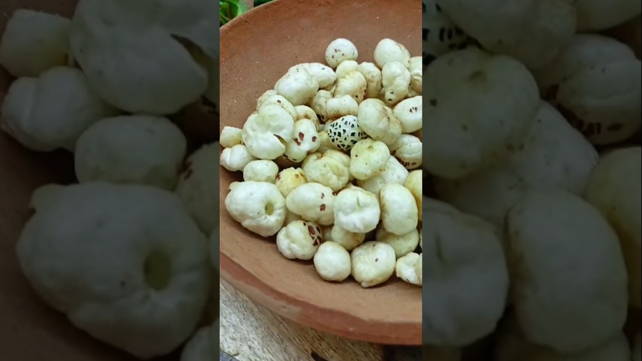 How to Roast Makhana Perfectly #food #makhana #short #healthyfood How to Roast Makhana Perfectly #food #makhana #short #healthyfood