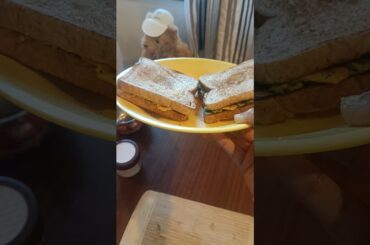 Avacado Bread Toast yummy yummy healthy breakfast#breakfast#food#cooking#avacado#shorts