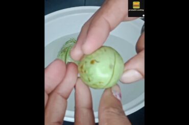 Winter per Kuchh banae healthy | Gujarati evening recipe | pramukh cooking #gujaraticooking