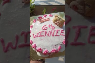 Healthy Cake For Doggy#breadrecipes #trending #food #easyrecipe #doglover