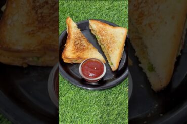 Healthy sandwich recipe #shorts #trending #viral #sandwich #healthyfood #youtubeshorts