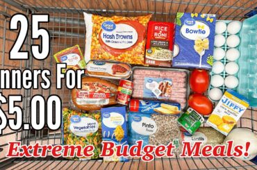 25 DINNERS FOR $5 | CHEAP MEAL IDEAS & WALMART GROCERY HAUL | TASTY & EASY RECIPES | JULIA PACHECO